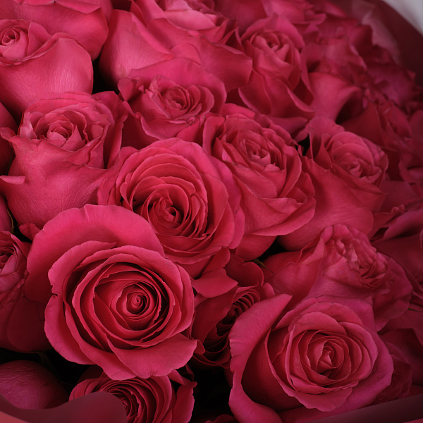 Купить Букет из 51 розовой розы 50 см (Эквадор) в  с бесплатной доставкой: цена, фото, описание